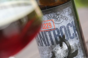 Hofstetten Granitbock 007