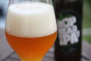 CRAFTWERK HOP HEAD IPA 003