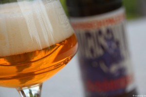 Schönramer Bayrisch Pale Ale 003