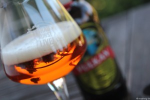 Vulkan IPA 005